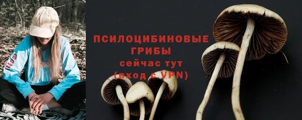 МДПВ Бугульма