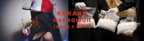 гидра Бородино
