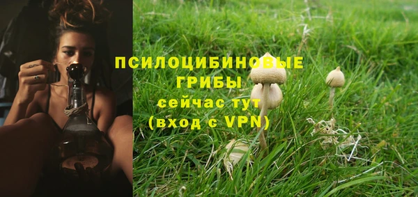 гидра Бородино
