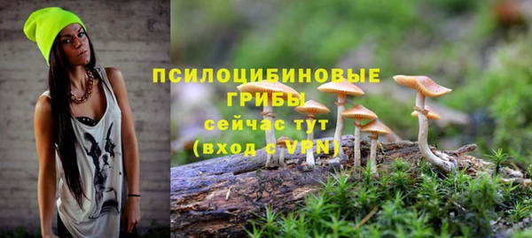 гашик Бронницы