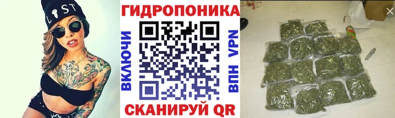 Марихуана OG Kush  Калач 